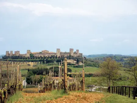 Fattoria Petraglia - Cedro, Gite 3 personnes à Monteriggioni - Photo 34