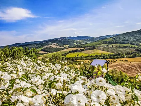 Allerona, Gite 4 personnes à Orvieto - Photo 20