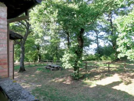 Vacanza L'Olivo, Appartement 7 personnes à Lago Trasimeno - Photo 20