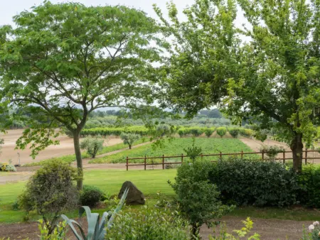 Rosa Bacara, Gite 6 personnes à Lago di Bolsena - Photo 26