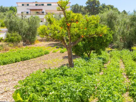 Villa Tavaglione, Appartement 4 personnes à Peschici - Photo 3
