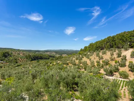 Villa Tavaglione, Appartement 4 personnes à Peschici - Photo 19