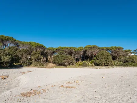 Cala Viola, Appartement 2 personnes à Orosei - Photo 20