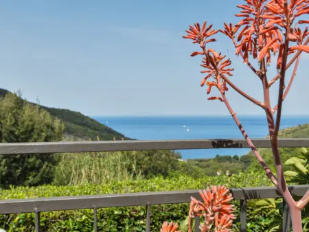 La Paradisa, Appartement 2 personnes à Nisportino - Photo 18