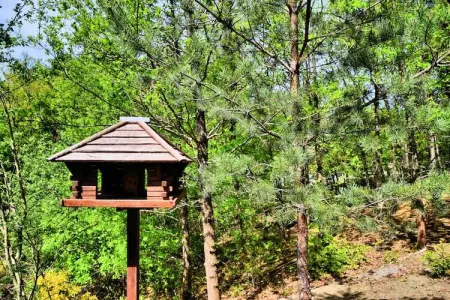 L'Orchidée, Maison de vacances moderne avec sauna à Durbuy - Photo 32