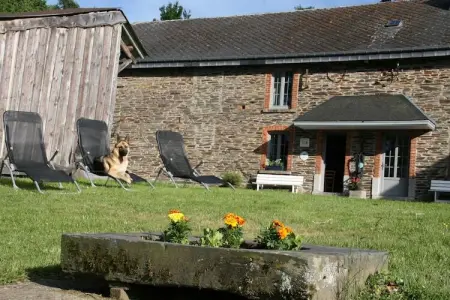 Le Moulin d'Halconreux, Vieille ferme à Gouvy avec jardin - Photo 20