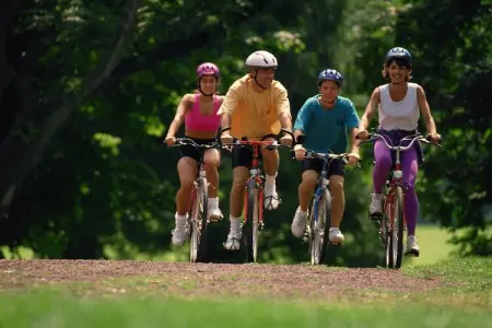 Le Moulin d'Halconreux, Vieille ferme à Gouvy avec jardin - Photo 30