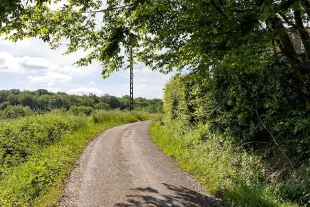 Le Fenil, Ancienne ferme à Sivry-Rance avec jardin - Photo 16