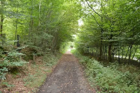 Le Fenil, Ancienne ferme à Sivry-Rance avec jardin - Photo 31