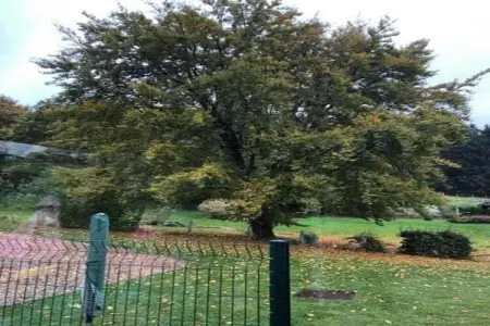 Le Fenil, Ancienne ferme à Sivry-Rance avec jardin - Photo 33