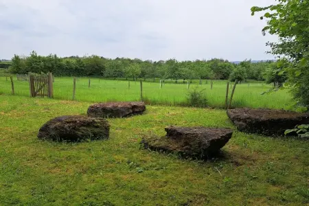 Alatienne, Casa de vacaciones Viroinval (Ardenas, Dinant-Han-Chimay y alrededores) 7 person - Photo 34