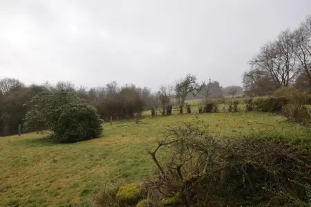 La Tannière, Charmante maison de vacances à Érezée, spacieuse, originale et calme - Photo 25