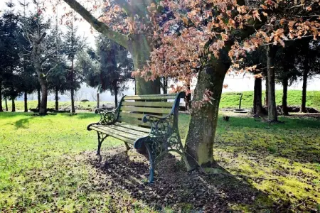 La Buse, Maison de vacances spacieuse avec jardin privé à Rendeux - Photo 23