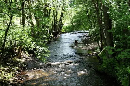 La Buse, Maison de vacances spacieuse avec jardin privé à Rendeux - Photo 28