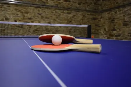 Fermette de Lamerlé 8 Personnes, Maison rénovée avec sauna à Gouvy dans les Ardennes - Photo 5