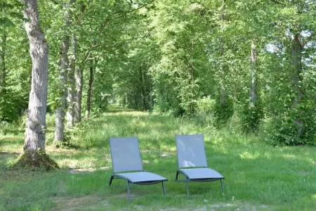 La Drève du Château, Superbe maison de vacances avec jardin clos à Serinchamps (Ciney) - Photo 26