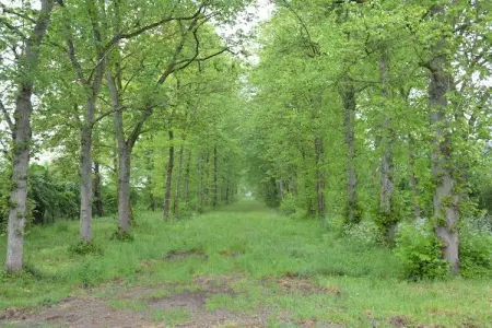 La Drève du Château, Superbe maison de vacances avec jardin clos à Serinchamps (Ciney) - Photo 32