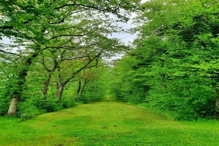 La Drève du Château, Superbe maison de vacances avec jardin clos à Serinchamps (Ciney) - Photo 34