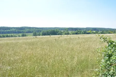 La Drève du Château, Superbe maison de vacances avec jardin clos à Serinchamps (Ciney) - Photo 38