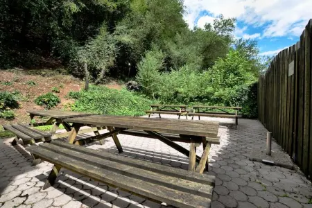 De Zagerij, Maison de vacances d'époque, bbq près de la forêt à Rendeux - Photo 37