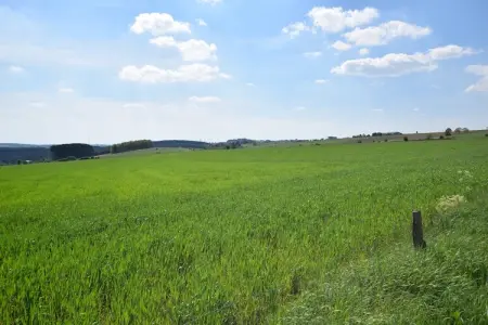 Le Chalet de Cherapont, Chalet confortable à Gouvy près du lac de Cherapont - Photo 22