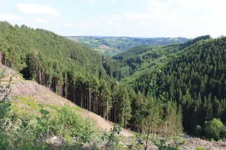 Le Spinetty, Gîte de charme à Mont près du parc naturel de High Fens avec sauna. - Photo 32