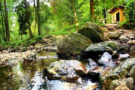 Quarreux 27, Chalet vintage à Sougné-Remouchamps près de la forêt - Photo 26