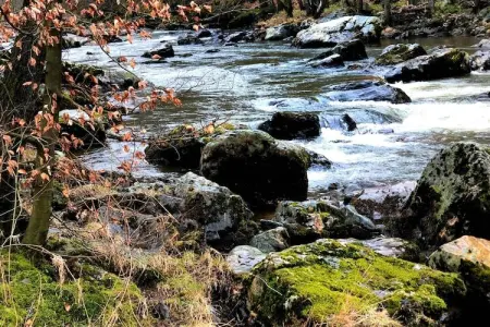 Quarreux 27, Chalet vintage à Sougné-Remouchamps près de la forêt - Photo 27
