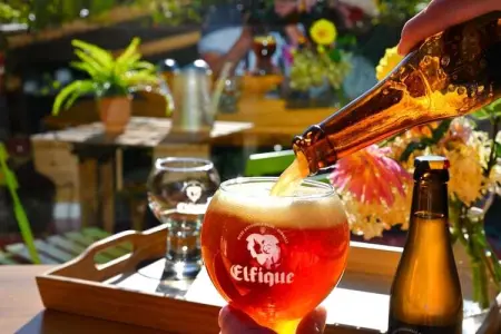 Quarreux 27, Chalet vintage à Sougné-Remouchamps près de la forêt - Photo 30