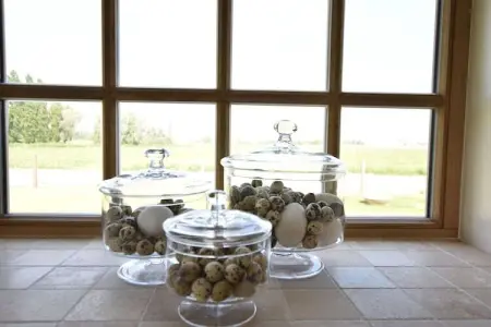 Gisèle, Superbe maison de vacances avec terrasse à Diksmuide - Photo 33