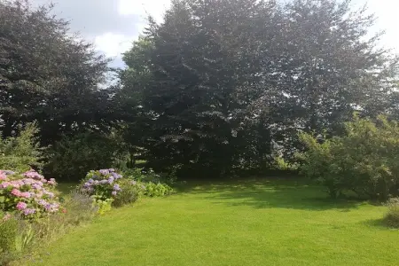 Chez Zélie, Maison de vacances spacieuse à Vaux-sur-Sûre

 avec Jardin - Photo 19