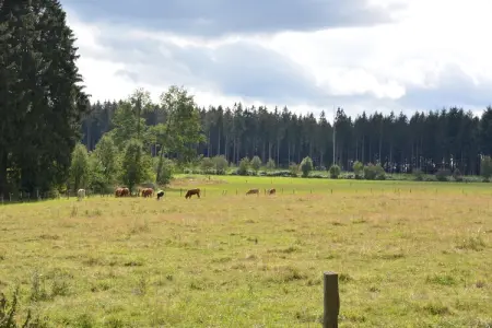Chez Zélie, Maison de vacances spacieuse à Vaux-sur-Sûre

 avec Jardin - Photo 20