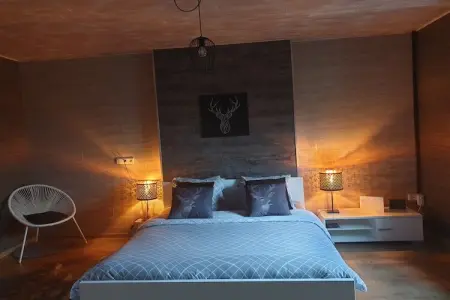 Chez Zélie, Maison de vacances spacieuse à Vaux-sur-Sûre

 avec Jardin - Photo 22