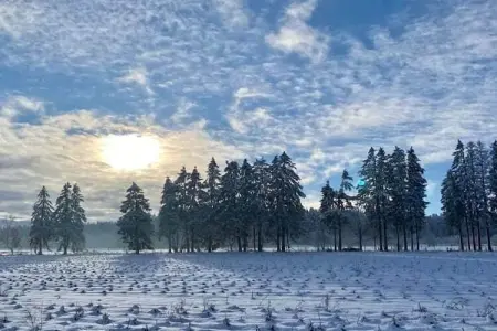 Chez Zélie, Maison de vacances spacieuse à Vaux-sur-Sûre

 avec Jardin - Photo 28