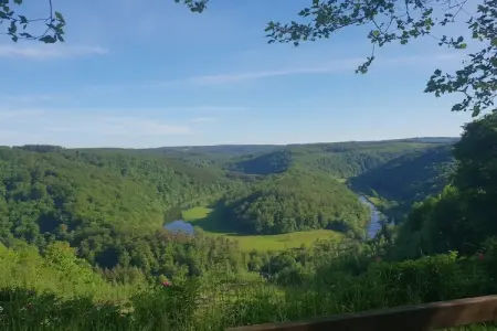 Chez Zélie, Maison de vacances spacieuse à Vaux-sur-Sûre

 avec Jardin - Photo 30