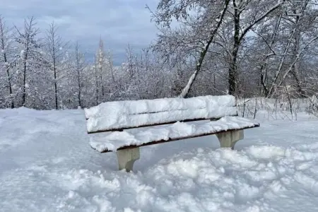 Chez Zélie, Maison de vacances spacieuse à Vaux-sur-Sûre

 avec Jardin - Photo 32