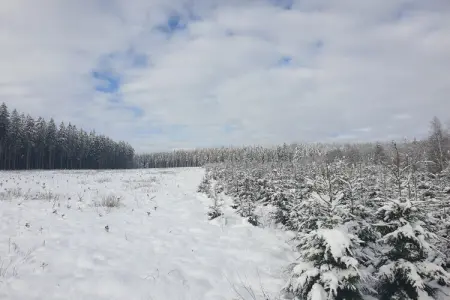 Chez Zélie, Maison de vacances spacieuse à Vaux-sur-Sûre

 avec Jardin - Photo 33