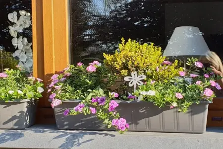 Chez Zélie, Maison de vacances spacieuse à Vaux-sur-Sûre

 avec Jardin - Photo 34