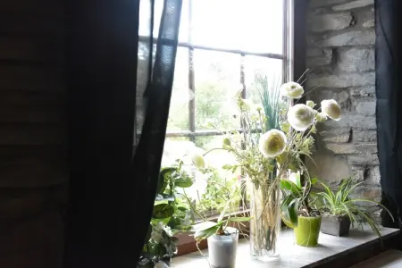 Chez Zélie, Maison de vacances spacieuse à Vaux-sur-Sûre

 avec Jardin - Photo 36