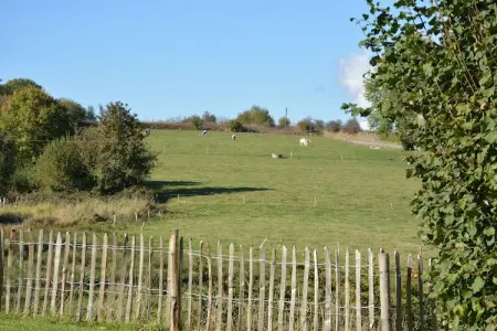 Le Gîte du Petit Culot, Maison de vacances historique à Gedinne avec sauna - Photo 25