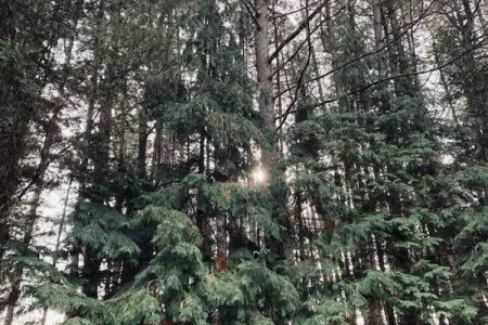 Kannaert, Chalet confortable à Nijlen avec grand jardin - Photo 23