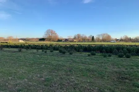 Kannaert, Chalet confortable à Nijlen avec grand jardin - Photo 25