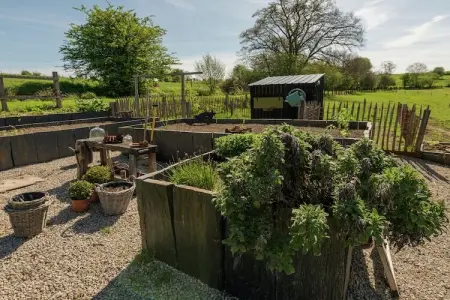 Au Moulin du Fî, Moulin ancien avec sauna à Bertrix - Photo 33