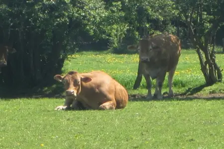 La Ferme Tirou, Gîte spacieux avec cour arrière et grand jardin à Namur - Photo 26