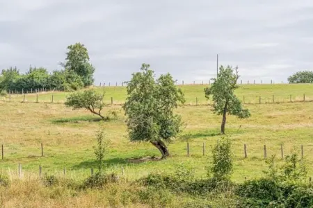 La Ferme Tirou, Gîte spacieux avec cour arrière et grand jardin à Namur - Photo 30