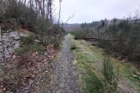 Le Saint Thibaut, Maison de vacances confortable à Rendeux - Photo 35