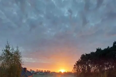 Macray La Colline aux Framboises, Charmante maison de vacances à La Roche-en-Ardenne. Jardin - Photo 22