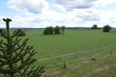 Macray La Colline aux Framboises, Charmante maison de vacances à La Roche-en-Ardenne. Jardin - Photo 26
