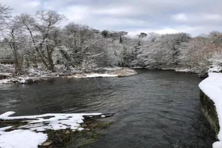 Macray La Colline aux Framboises, Charmante maison de vacances à La Roche-en-Ardenne. Jardin - Photo 29