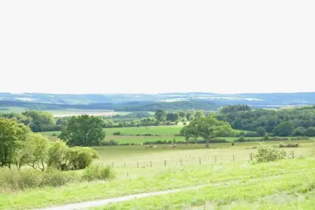 Macray La Colline aux Framboises, Charmante maison de vacances à La Roche-en-Ardenne. Jardin - Photo 32